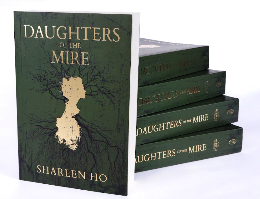 Daughters of the Mire book cover and stack